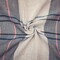 Blue-White-Multi Famous Maker Cotton Plaid Double Gauze Woven Fabric By the Yard
